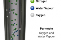 membrane-1